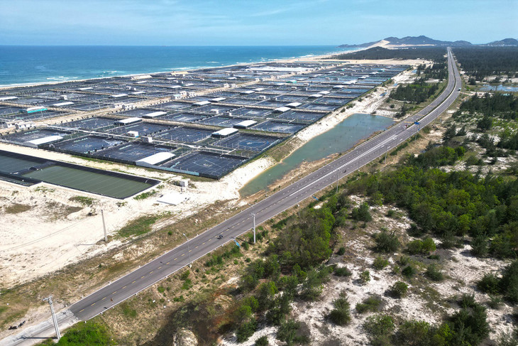 Đường ven biển tỉnh Bình Định qua xã Mỹ Thành, huyện Phù Mỹ