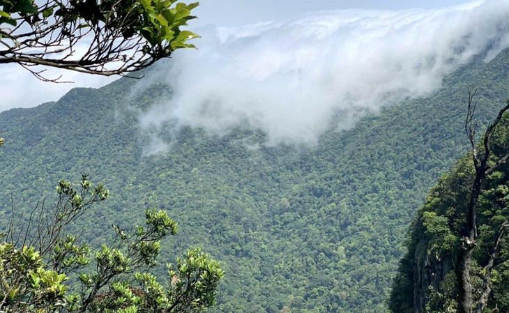 Chính thức vận hành sàn giao dịch carbon tại Việt Nam từ năm 2029. Ảnh minh họa Chính thức vận hành sàn giao dịch carbon tại Việt Nam từ năm 2029. Ảnh minh họa