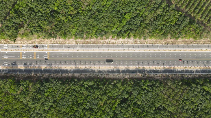 Tuyến đường Mỹ Phước - Tân Vạn giai đoạn 2 chạy qua rừng cao su ở huyện Bàu Bàng