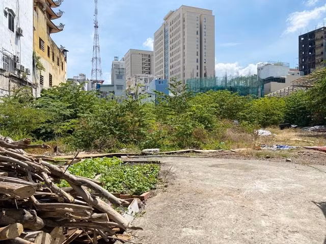 Cỏ dại mọc um tùm bên trong Cỏ dại mọc um tùm bên trong