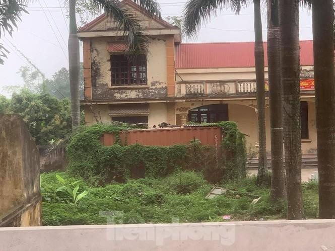 Lô gỗ sưa vẫn đang được đóng trong thùng container chờ chủ nhân mới