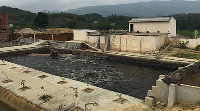 Hệ thống xử lý nước thải không đạt chuẩn của doanh nghiệp Tuấn Vinh