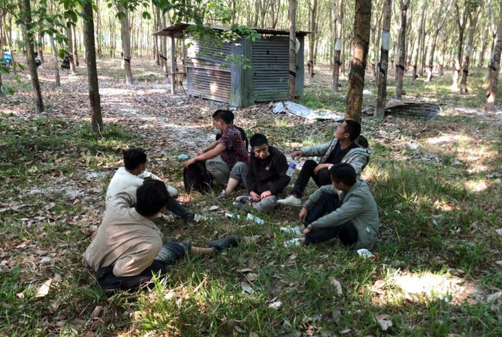 7 người nhập cảnh trái phép bị phát hiện tại vườn cao su