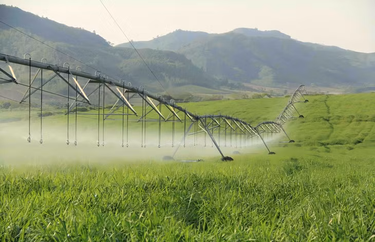 Cánh tay tưới khổng lồ trên cánh đồng nguyên liệu của TH được vận hành bằng app thông minh với cảm biến tự đo độ ẩm của đất giúp tiết kiệm nước, tiết kiệm năng lượng