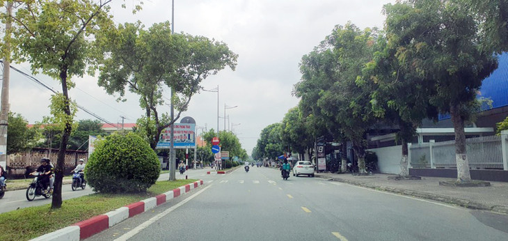 Cây xanh trên tuyến đường TP. Bạc Liêu. Ảnh minh họa