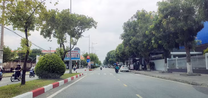 Cây xanh trên tuyến đường TP. Bạc Liêu. Ảnh minh họa