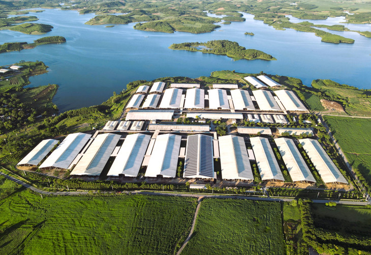 Một phần trang trại bò sữa công nghệ cao của TH tại huyện Nghĩa Đàn, tỉnh Nghệ An Một phần trang trại bò sữa công nghệ cao của TH tại huyện Nghĩa Đàn, tỉnh Nghệ An