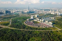 Ảnh minh họa internet