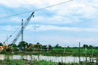 Việc đề xuất “phân nhóm vướng mắc” và giao cho từng sở, ngành liên quan chủ trì phối hợp xem xét giải quyết là rất cần thiết. Ảnh: Bảo Tín