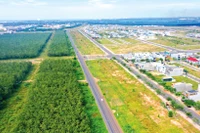 Việc công khai danh mục các khu đất thực hiện đấu thầu lựa chọn nhà đầu tư dự án có sử dụng đất giúp nhà đầu tư có thể lên kế hoạch, chiến lược kinh doanh, tiếp cận dự án phù hợp, tính toán sớm khả năng dự thầu và cơ hội trúng thầu. Ảnh: Lê Tiên