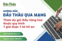 Hướng dẫn tham dự gói thầu hàng hóa thuộc quy trình 1 giai đoạn 1 túi hồ sơ