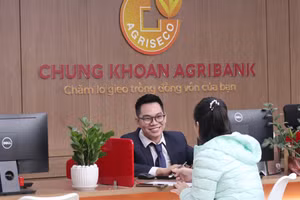 Đấu giá công khai đối với 09 lô tài sản là cổ phần và phần vốn góp thuộc sở hữu của Agriseco. Ảnh minh họa: Internet