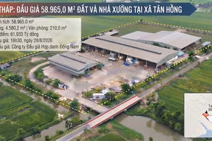 Đấu giá 58.965 m² đất và nhà xưởng tại xã Tân Hồng (Đồng Tháp). Ảnh minh họa: Ai