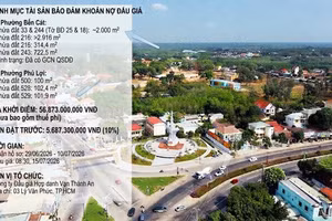 Đấu giá khoản nợ của Công ty TNHH Cầu Đường – Xây Dựng Phước Sơn tại Agribank Chi nhánh Bình Dương được bảo đảm bằng danh mục nhiều quyền sử dụng đất diện tích lớn tạiTP.HCM. Ảnh minh họa: Internet 