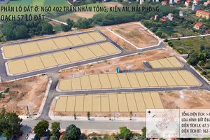 Hải Phòng đấu giá 57 lô đất tại phường Kiến An. Ảnh minh họa: Ai
