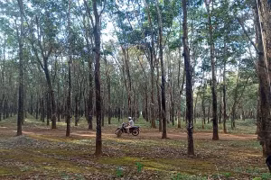 Ngân hàng VietinBank – Chi nhánh Gia Lai vừa thông báo bán đấu giá khoản nợ của Công ty TNHH Kinh doanh hàng xuất khẩu Quang Đức với giá khởi điểm hơn 663 tỷ đồng. Ảnh minh họa: Intrenet