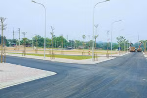 Đấu giá quyền sử dụng 51 thửa đất tại khu Đầm Tiểu Trên, xã Phú Nghĩa (Hà Nội). Ảnh minh họa: Internet