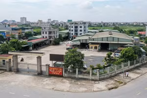 Đấu giá 5.488m² đất thương mại dịch vụ tại phường Hoa Lư (Ninh Bình). Ảnh minh họa: Ai