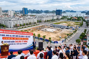 Đấu giá quyền sử dụng 4.623 m2 đất và tài sản gắn liền với đất tại KĐT Cái Dăm (Quảng Ninh). Ảnh: AI