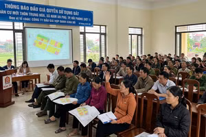 Đấu giá 63 lô đất tại khu dân cư mới thôn Trung Hòa (TP. Hải Phòng). Ảnh minh họa: AI
