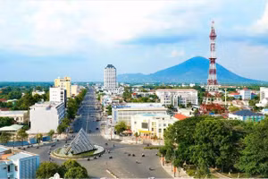 Đấu giá hơn 1.700m2 đất và biệt thự 5 tầng tại Tây Ninh. Ảnh minh họa: Intrenet