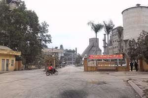 Đấu giá nhà máy và quyền thuê đất tại Công ty CP Xi măng Bắc Giang. Ảnh minh họa: Internet