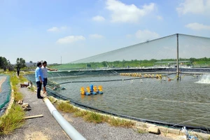 Đấu giá 41 nền đất ở và 186.242 m2 diện tích nuôi trồng thủy sản tại xã Trường Xuân (Đồng Tháp). Ảnh minh họa: Internet