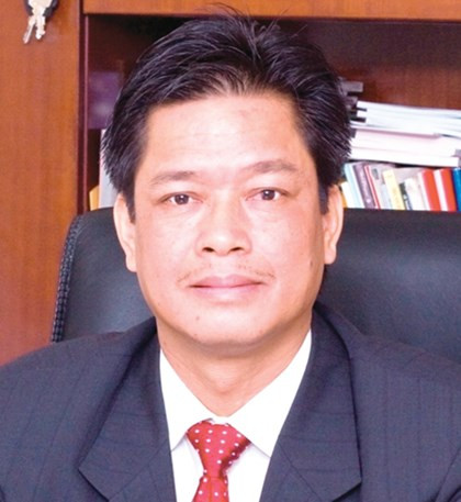 Thị trường bảo hiểm 2016: Nhiều gam màu sáng ảnh 2