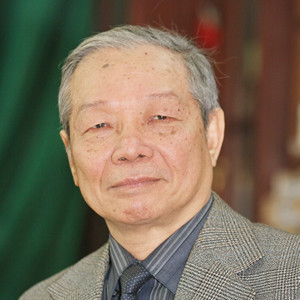 Giao thông đường thủy bị lãng quên ảnh 1