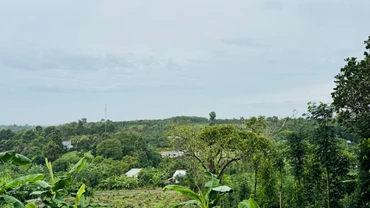 Hiệu quả cuối cùng của bảng giá đất sẽ phụ thuộc vào cách tổ chức thực hiện, mức độ đồng thuận xã hội và khả năng tiếp tục điều chỉnh linh hoạt trong những năm tới. Ảnh: Bảo Tín