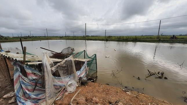 Nhà cửa chưa thấy đâu, chỉ có những chuồng nuôi vịt như thế này được dựng tạm trong khu quy hoạch đất ở bán đấu giá