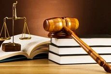 Xử lý dứt điểm tình trạng chậm, nợ ban hành văn bản quy định chi tiết trong tháng 01/2026