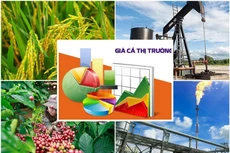 Hoàn thiện dự thảo Luật sửa đổi, bổ sung một số điều của Luật Giá đảm bảo chất lượng, đúng tiến độ.