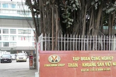 Mức vốn điều lệ của Công ty mẹ - Tập đoàn Công nghiệp Than - Khoáng sản Việt Nam (TKV) được phê duyệt tại thời điểm 31/12/2024 là 41.259 tỷ đồng. Ảnh Internet.