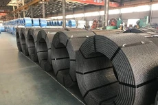 Bản tin thời sự sáng 25/01