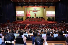 Các đại biểu biểu quyết thông qua Nghị quyết Đại hội XIV của Đảng. (Ảnh: TTXVN)