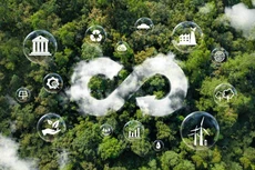 Bản tin thời sự sáng 13/11