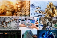 Báo cáo Thủ tướng Chính phủ về tình hình thị trường chứng khoán (cổ phiếu, phái sinh, trái phiếu) trước ngày 15/9/2025.