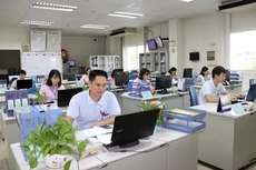 Không thành lập phòng trong vụ trực thuộc bộ, ngành.