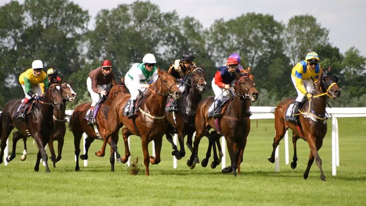 1,5 tỷ USD làm trường đua ngựa lớn nhất VN ở Vĩnh Phúc