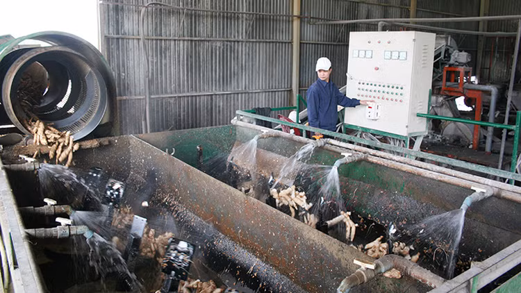 Năm 2016, số DN đăng ký thành lập mới đã đạt mức kỷ lục với 110,1 nghìn DN. Ảnh: Tường Lâm