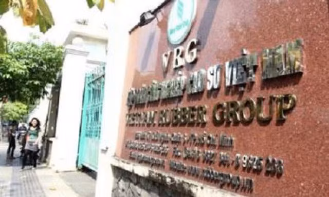 Tập đoàn Cao su Việt Nam để xảy ra nhiều sai phạm trong quản lý tài chính.