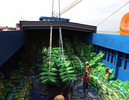 Bốc xếp gạo xuất khẩu của Tổng Công ty lương thực miền nam tại cảng Sài Gòn. Ảnh: TTXVN