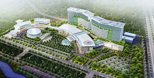 Ảnh minh họa: Internet