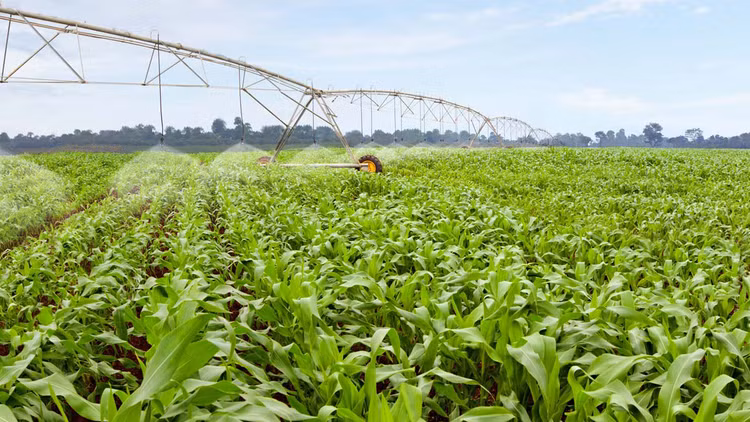 Minh bạch, công khai để nâng cao năng lực cạnh tranh