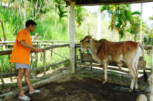 Ảnh chỉ mang tính minh họa. Nguồn Internet