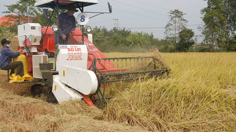 Bộ KH&ĐT chủ trì, phối hợp với các bộ, ngành...rà soát, điều chỉnh, bổ sung Quy hoạch phát triển KTXH vùng ĐBSCL Ảnh: Tường Lâm