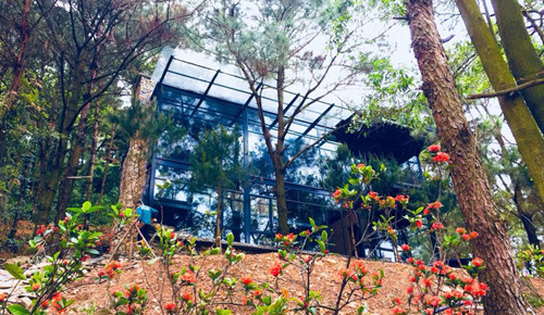 Một homestay ở Hà Nội khá hút khách thời gian gần đây.