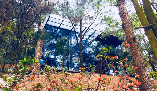 Một homestay ở Hà Nội khá hút khách thời gian gần đây.