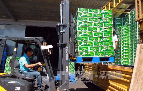 Ảnh minh họa: Internet